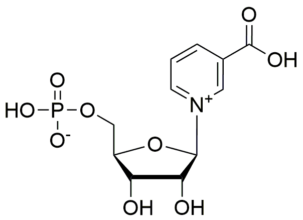 Nicotinic acid mononucleotide, animal