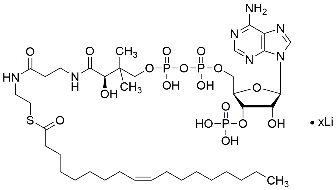 Oleoyl coenzyme A lithium salt