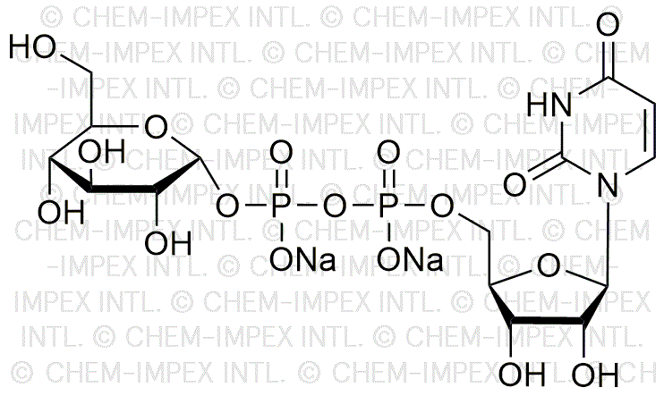 Sel disodique de l'uridine-5'-diphosphoglucose