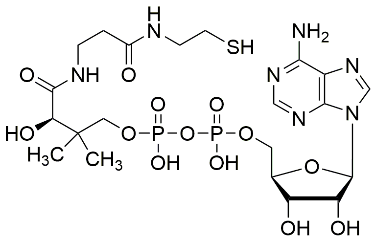 3'-Déphosphocoenzyme A