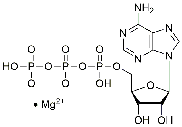 Sal magnésica de adenosina-5'-trifosfato, bacteriana