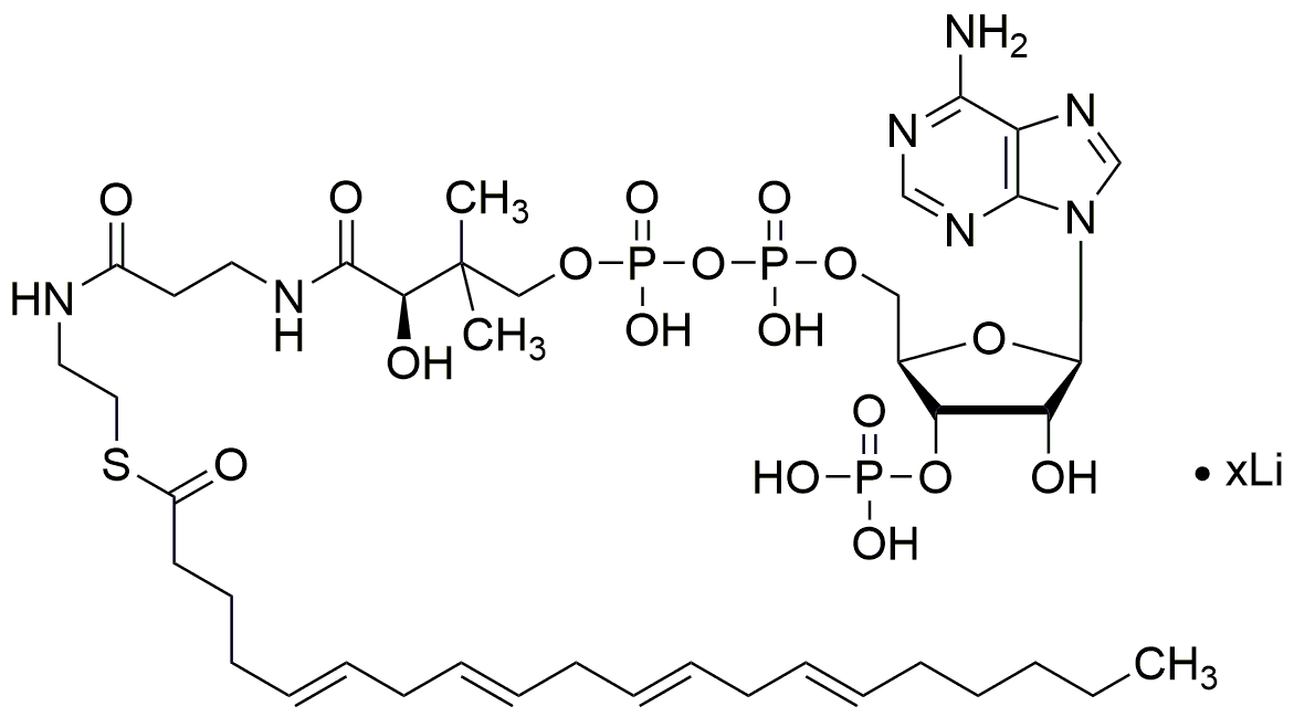 Arachidonoyl coenzyme&nbsp;A lithium salt