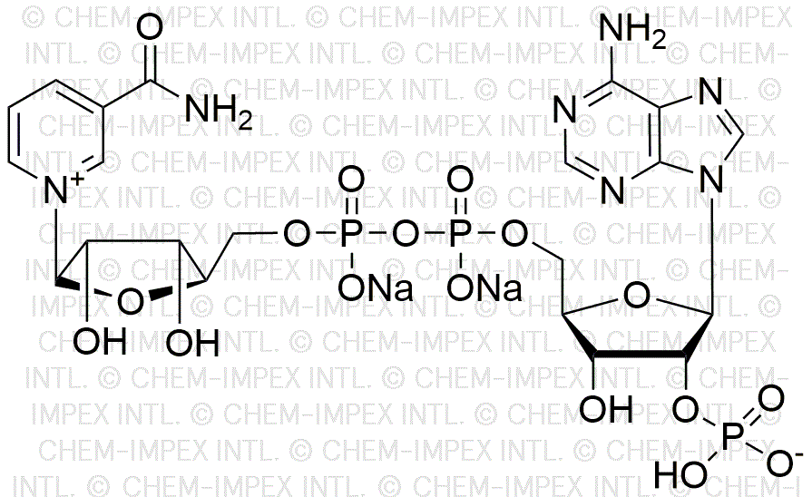 b-Nicotinamide adenine dinucleotide phosphate