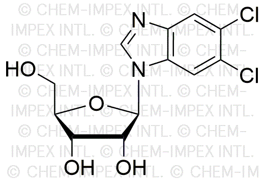 5,6-Dichlorobenzimidazole 1-bD-ribofuranoside