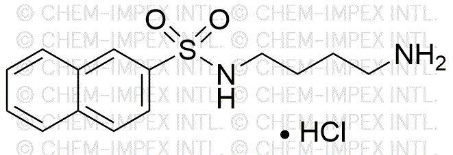 N-(4-Aminobutyl)-2-naphthalenesulfonamide hydrochloride