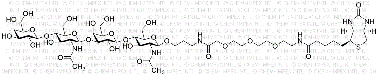 L1-L1-β-PEG3-biotine