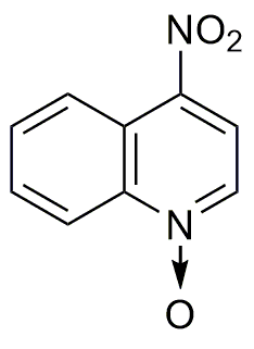 N-oxyde de 4-nitroquinoléine