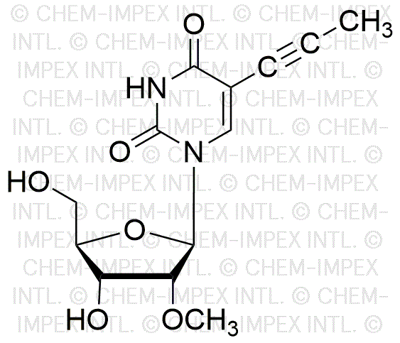 2'-(O-Methyl)-5-propynyluridine