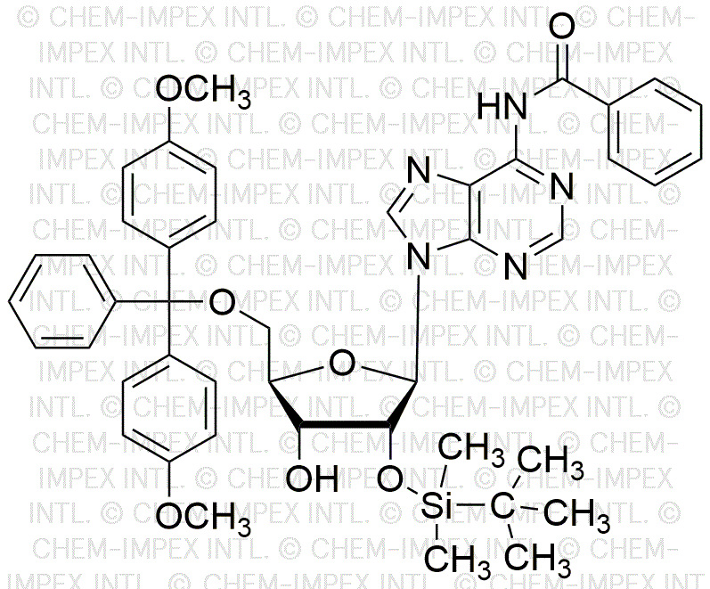 5'-O-(4, 4'-Dimethoxytrityl)-N6-benzoyl-2'-O-(tert-butyldimethylsilyl)adenosine