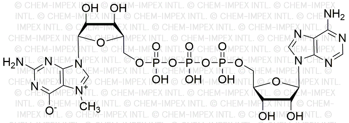 N7-Methylguanosine-5'-triphosphate-5'-adenosine