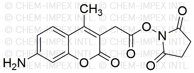 Ester N-succinimidylique de l'acide 7-amino-4-méthyl-3-coumarinacétique