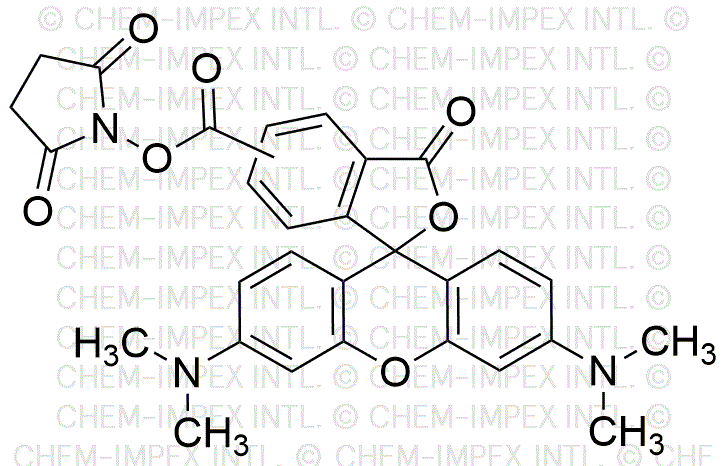 Ester N-succinimidylique de 5(6)-carboxytétraméthylrhodamine