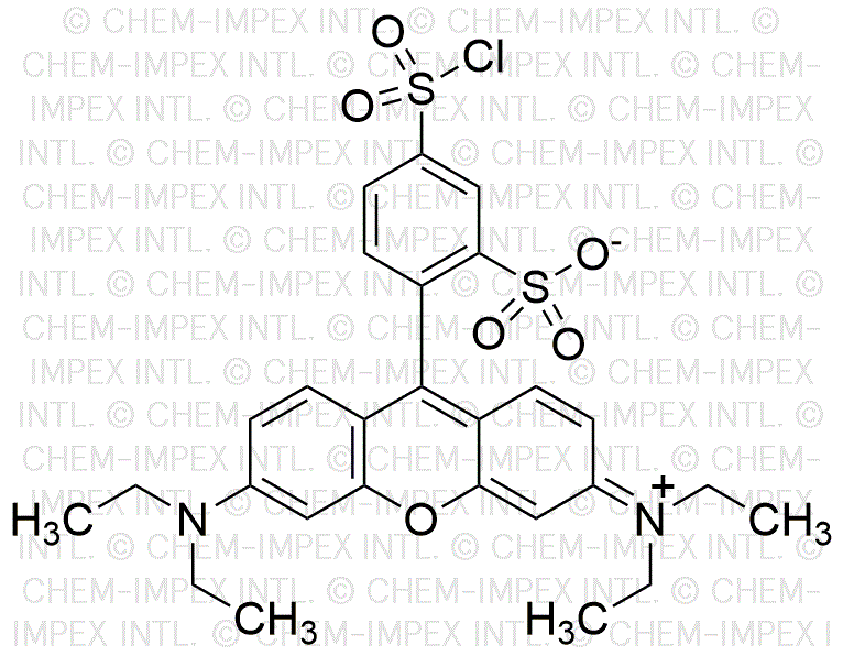 Sulforhodamine B acid chloride