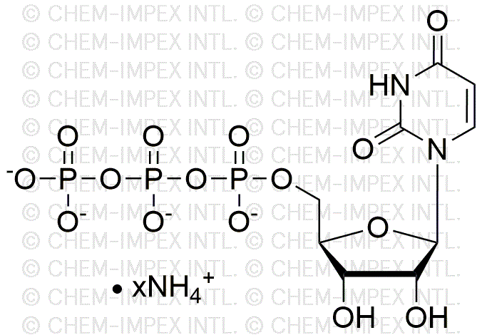 Uridine-5'-triphosphate, 100mM ammonium salt solution