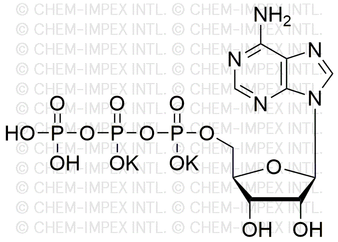 Adenosine-5'-triphosphate dipotassium salt