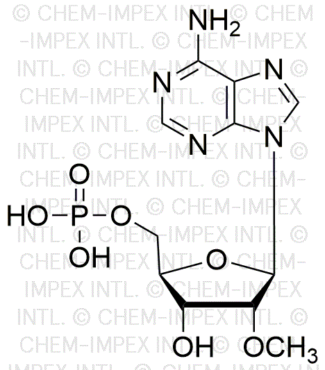 2'-O-méthyl-2'-adénosine-5'-monophosphate