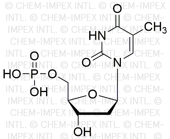 2'-Désoxythymidine-5'-monophosphate