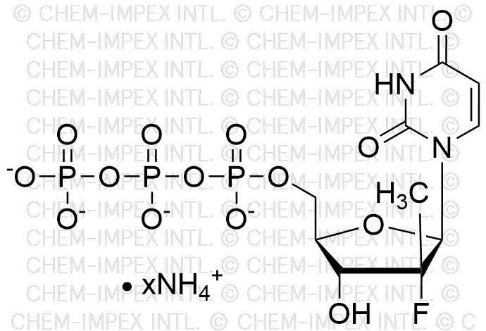 Sel d'ammonium de 2'-désoxy-2'-fluoro-2'-C-méthyluridine 5'-triphosphate