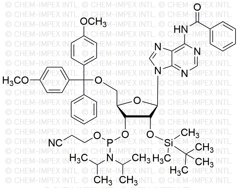 N6-Benzoil-5'-O-(4, 4'-dimetoxitritil)-2'-O-(terbutildimetilsilil)adenosina-3'-cianoetil fosforamidita