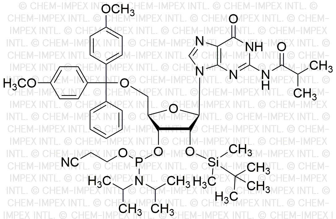 5'-O-(4, 4'-diméthoxytrityl)-N2-isobutyryl-2'-O-(tert-butyldiméthylsilyl)guanosine-3'-cyanoéthyl phosphoramidite