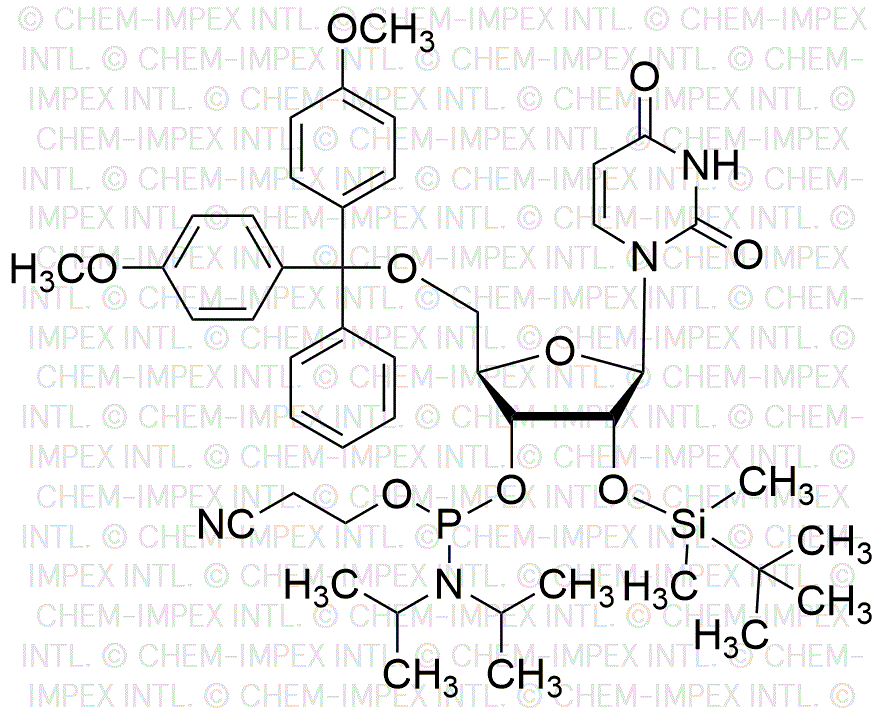 5'-O-(4, 4'-Dimetoxitritil)-2'-O-(terbutildimetilsilil)uridina-3'-cianoetil fosforamidita