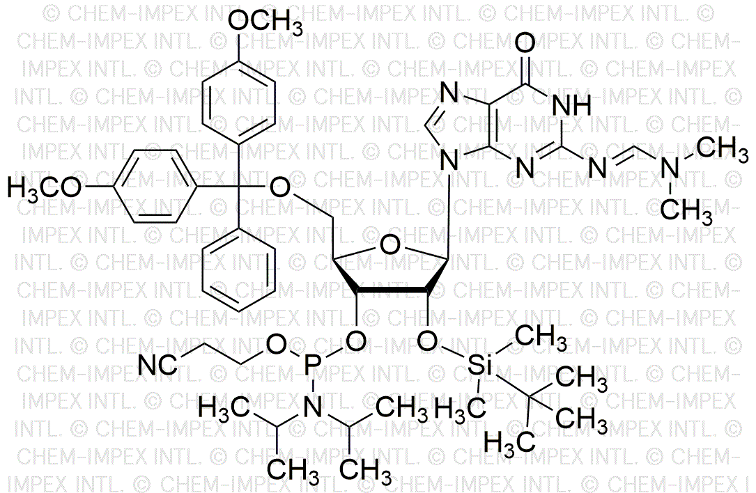 5'-O-(4, 4'-Dimethoxytrityl)-N2-dimethylformamidine-2'-O-(tert-butyldimethylsilyl)guanosine-3'-cyanoethyl phosphoramidite