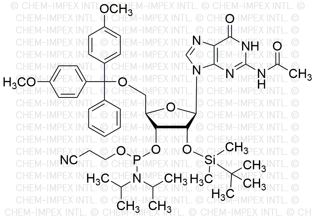 5'-O-(4, 4'-Dimethoxytrityl)-N2-acetyl-2'-O-(tert-butyldimethylsilyl)-guanine-3'-cyanoethyl phosphoramidite