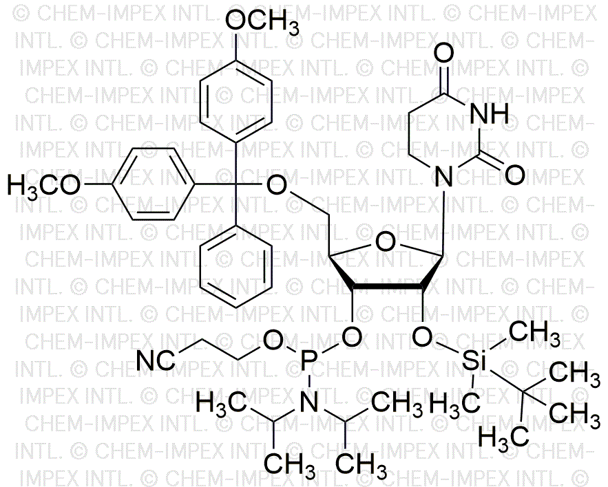 5'-O-(4, 4'-Dimetoxitritil)-2'-O-(terbutildimetilsilil)-5, 6-dihidrouridina-3'-cianoetil fosforamidita