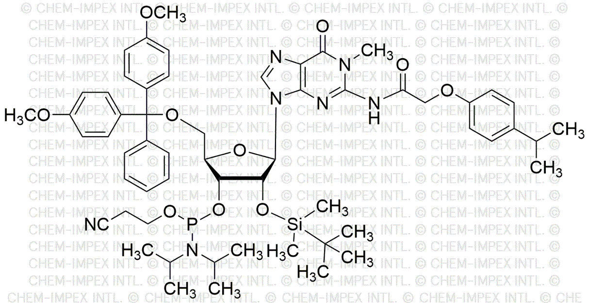 5'-O-(4, 4'-Dimethoxytrityl)-N1-methyl-N2-(p-isopropyl-phenoxyacetyl)-2'-O-(tert -butyldimethylsilyl)-guanosine-3'-cyanoethyl phosphoramidite