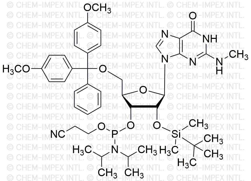 N2-Metil-5'-O-(4, 4'-dimetoxitritil)-2'-O-(terbutildimetilsilil)guanosina-3'-cianoetil fosforamidita