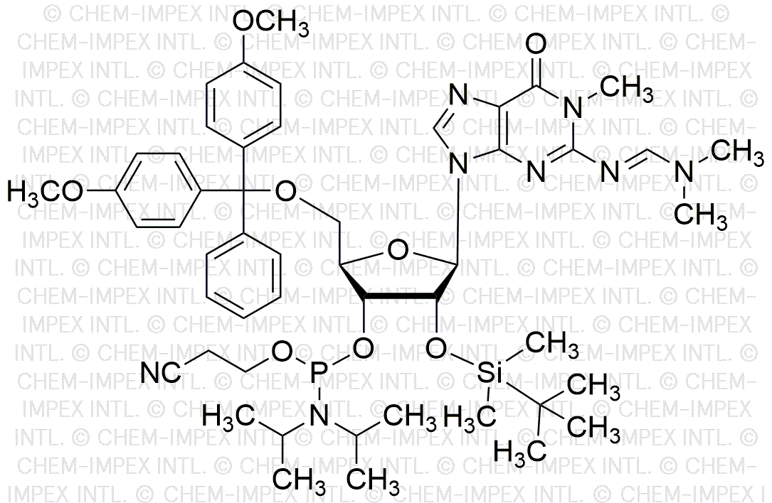 5'-O-(4, 4'-Dimethoxytrityl)-N1-methyl-N2-dimethylformamide-2'-O-(tert-butyldimethylsilyl)guanosine-3'-cyanoethyl phosphoramidite