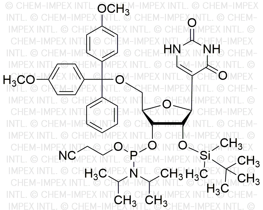 5'-O-(4,4'-diméthoxytrityl)-2'-O-(tert-butyldiméthylsilyl)pseudouridine-3'-cyanoéthyl phosphoramidite