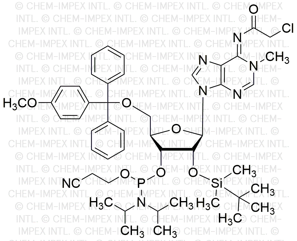 5'-O-(4-Monomethoxytrityl)-N1-methyl-N6-chloroacetyl-2'-O-(tert-butyldimethylsilyl)-adenosine-3'-O-[(2-cyanoethyl)-N,N-diisopropyl] phosphoramidite