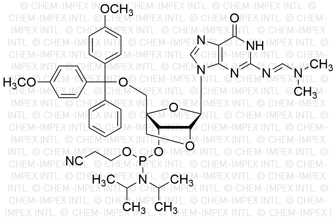 5'-O-(4, 4'-Dimethoxytrityl)-N2-dimethylformamidine-2'-O-4'-C-locked-guanosine-3'-cyanoethyl phosphoramidite