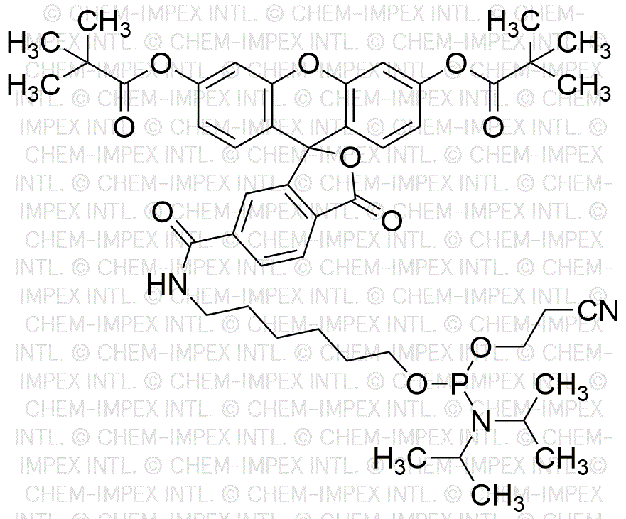 Phosphoramidite de 5'-fluorescéine