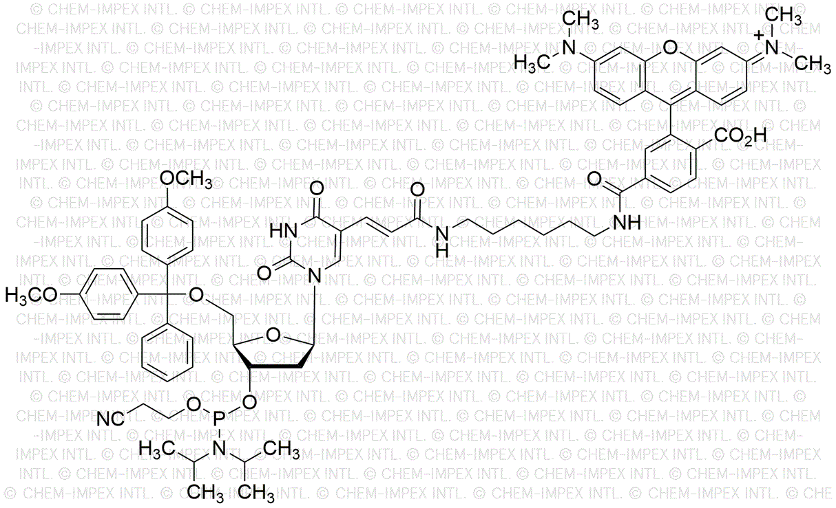 5'-O-(4, 4'-Dimethoxytrityl)-5-[N-((tetramethylrhodaminyl)-aminohexyl)-3-acrylimido]-2'-deoxyuridine-3'-[(2-cyanoethyl)-(N, N-diisopropyl)] phosphoramidite