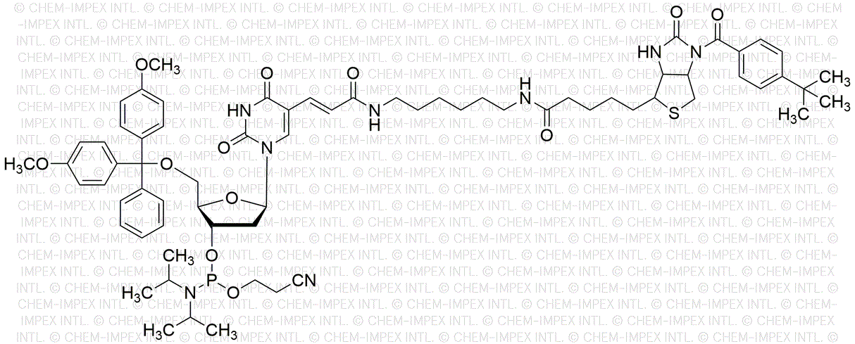 5'-O-(4, 4'-diméthoxytrityl)-5-[N-((4-t-butylbenzoyl)-biotinyl)-aminohexyl)-3-acrylimido]-2'-désoxythymidine-3'-O-[(2-cyanoéthyl)-N, N-diisopropyl] phosphoramidite