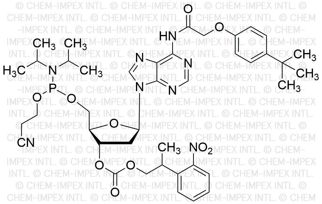 N6-(t-butil-fenoxiacetil)-3'-[carbonato de 2-(2-nitrofenil)propilo]-2'-desoxiadenosina]-5'-[(2-cianoetil)-N, N-diisopropil] fosforamidita