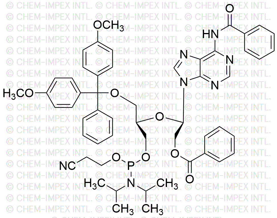 5'-O-4, 4'-Dimethoxytrityl)-N6-benzoyl-2'-benzoyl-2', 3'-seco-adenosine-3'-[(2-cyanoethyl)-(N, N-diisopropyl)] phosphoramidite