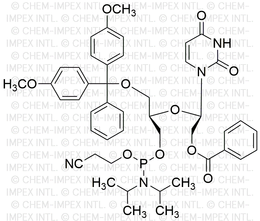 5'-O-(4, 4'-Dimethoxytrityl)-2'-benzoyl-2', 3'-seco-uridine-3'-cyanoethyl phosphoramidite