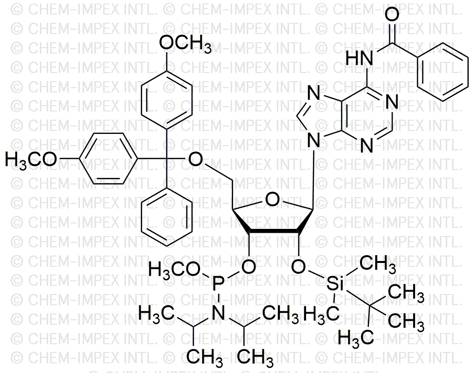 N6-Benzoil-5'-O-(4, 4'-dimetoxitritil)-2'-O-metoxietil-adenosina-3'-metoxi fosforamidita