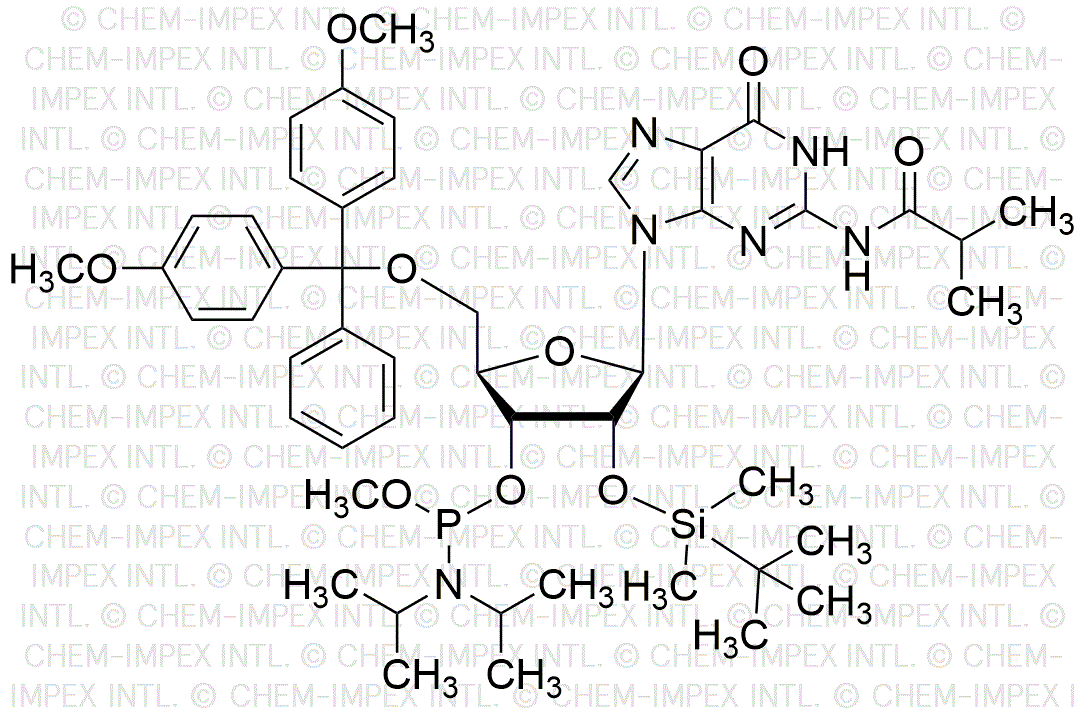 5'-O-(4, 4'-diméthoxytrityl)-N2-isobutyryl-2'-O-(tert-butyldiméthylsilyl)guanosine-3'-méthoxy phosphoramidite