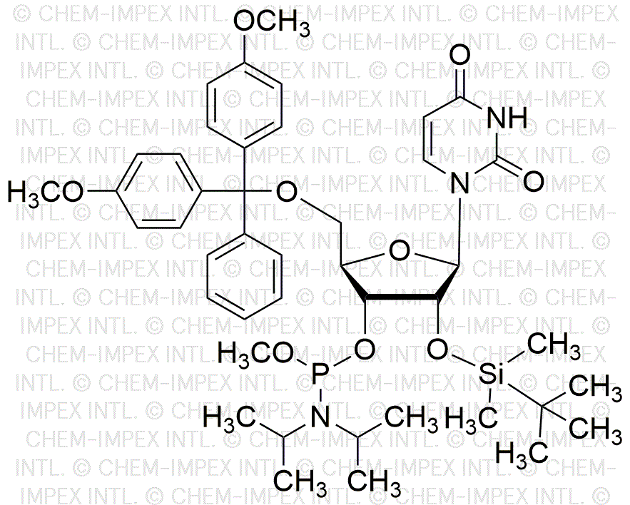 5'-O-(4, 4'-Dimethoxytrityl)-2'-O-(tert-butyldimethylsilyl)uridine-3'-methoxy-phosphoramidite