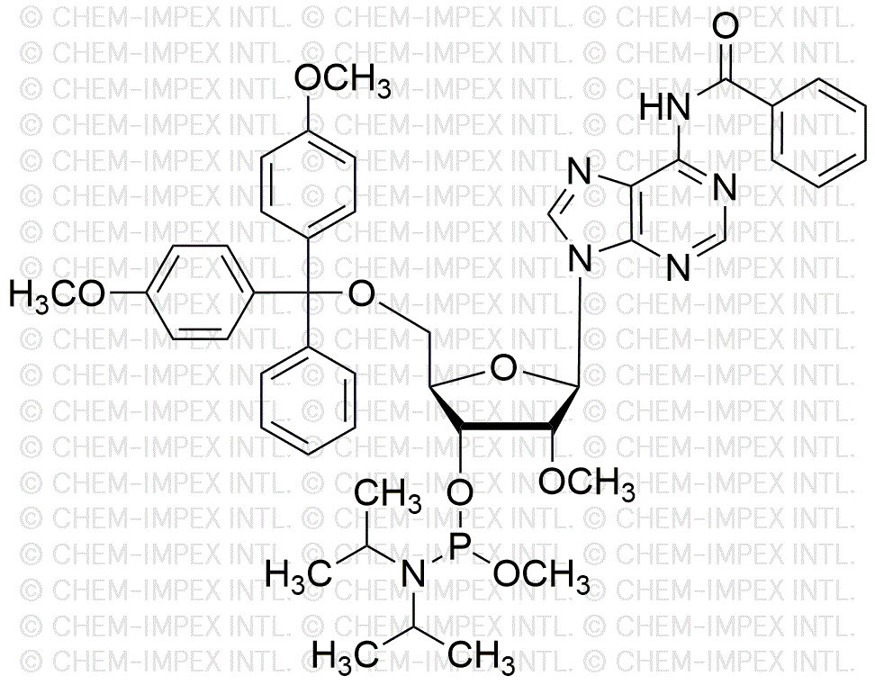 5'-O-(4, 4'-Dimethoxytrityl)-N6-benzoyl-2'-O-methyl-adenosine-3'-methoxy-phosphoramidite