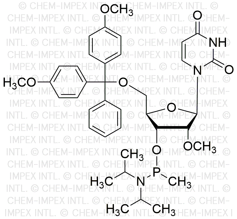 5'-O-(4,4'-diméthoxytrityl)-2'-OMe-uridine-3'-O-[P-méthyl-(N,N-diisopropyl)]phosphoramidite