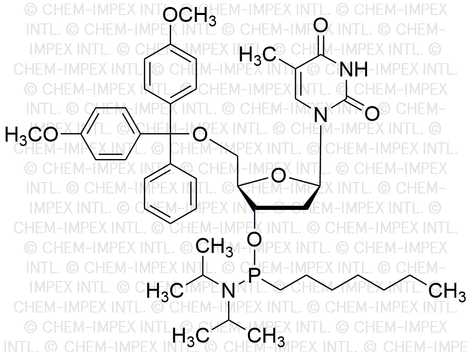 5'-O-(4, 4'-Dimethoxytrityl)-2'-deoxythymidine-3'-[(N, N-diisopropyl)-P-heptyl]-phosphoramidite