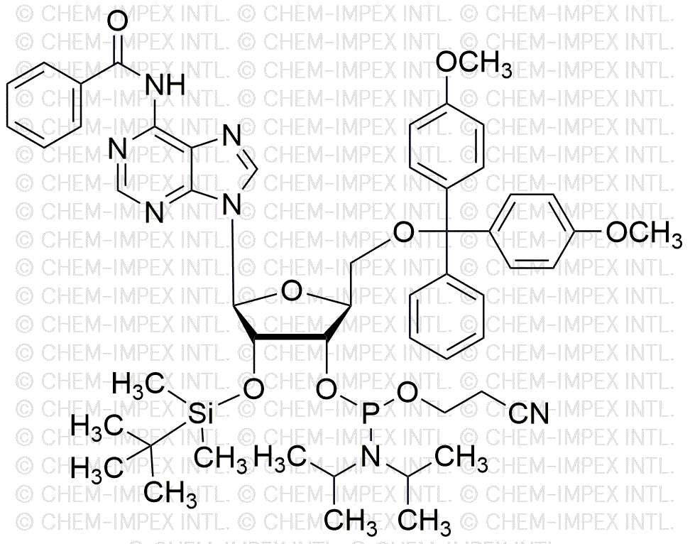 N6-Benzoil-5'-O-(4, 4'-dimetoxitritil)-2'-O-(terbutildimetilsilil)-L-adenosina-3'-cianoetil fosforamidita