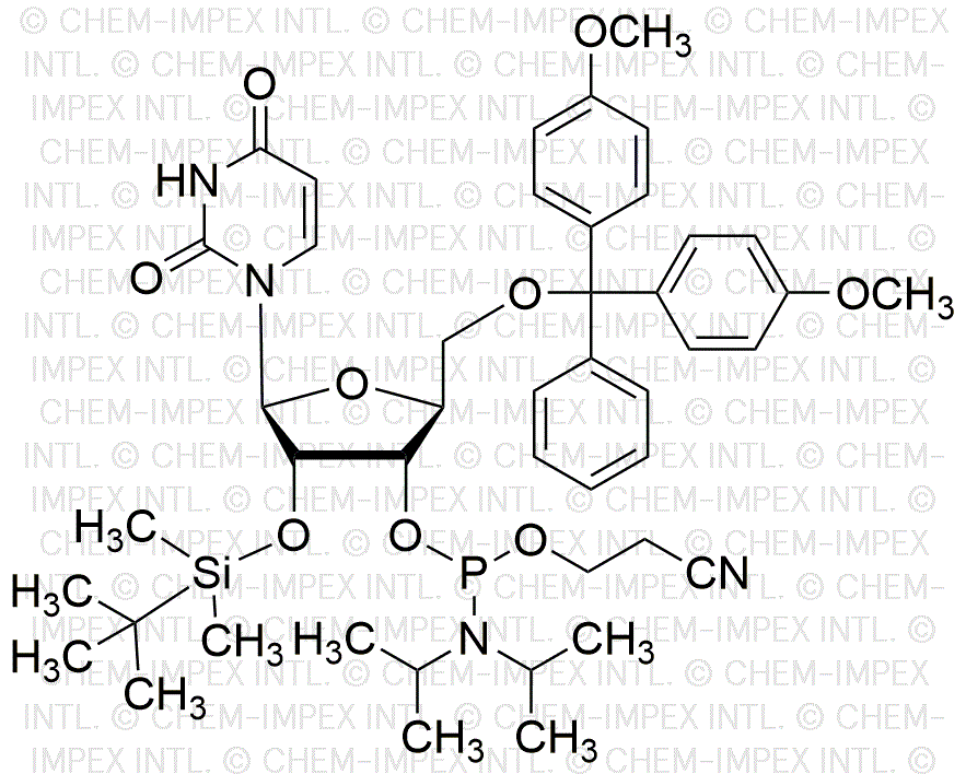 5'-O-(4, 4'-diméthoxytrityl)-2'-O-(tert-butyldiméthylsilyl)-L-uridine-3'-cyanoéthyl phosphoramidite