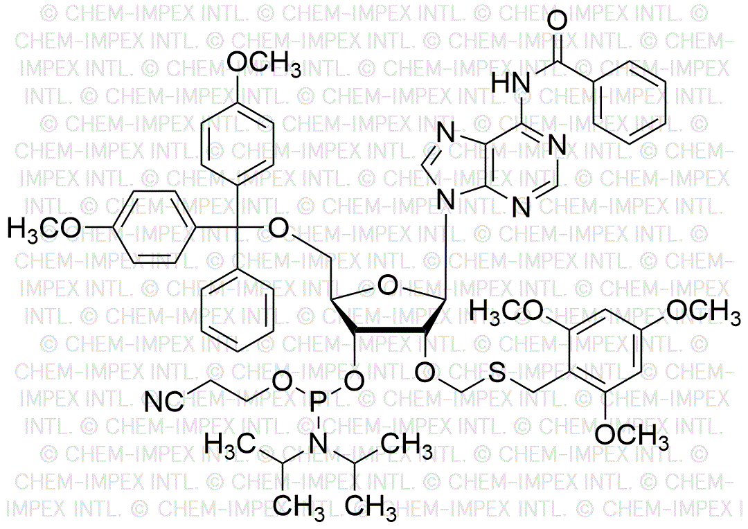 N6-Benzoil-5'-O-(4, 4'-dimetoxitritil)-2'-O-(2, 4, 6-trimetoxibenciltiometil)-adenosina-3'-cianoetil fosforamidita