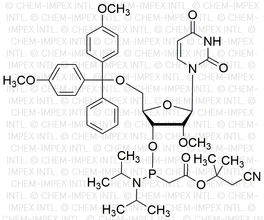 Ester méthylique d'α,α-diméthyl-β-cyanoéthyle de l'acide 3'-O-(diisopropylamino)phosphinoacétique et 5'-O-(4,4'-diméthoxytrityl)-2'-O-méthyluridine